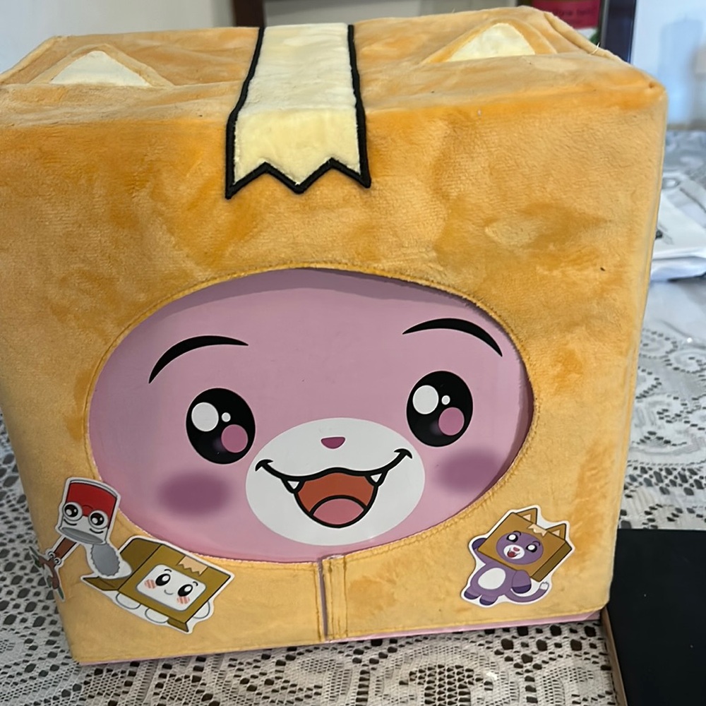 Lanky box really big foxy mystery box set used